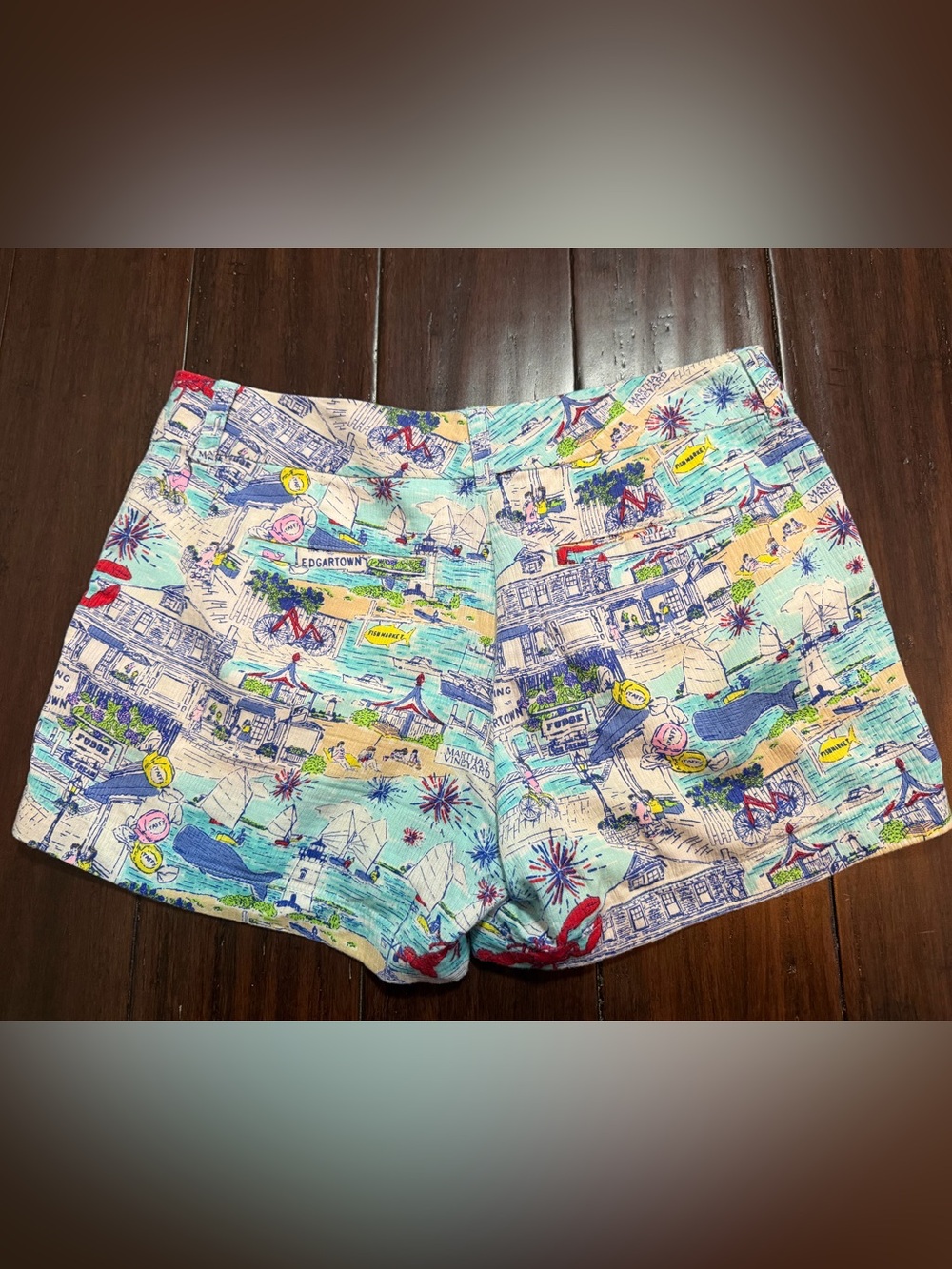 Vineyard Vines Edgartown Martha’s Vineyard women’s shorts size 2 - Picture 3 of 4